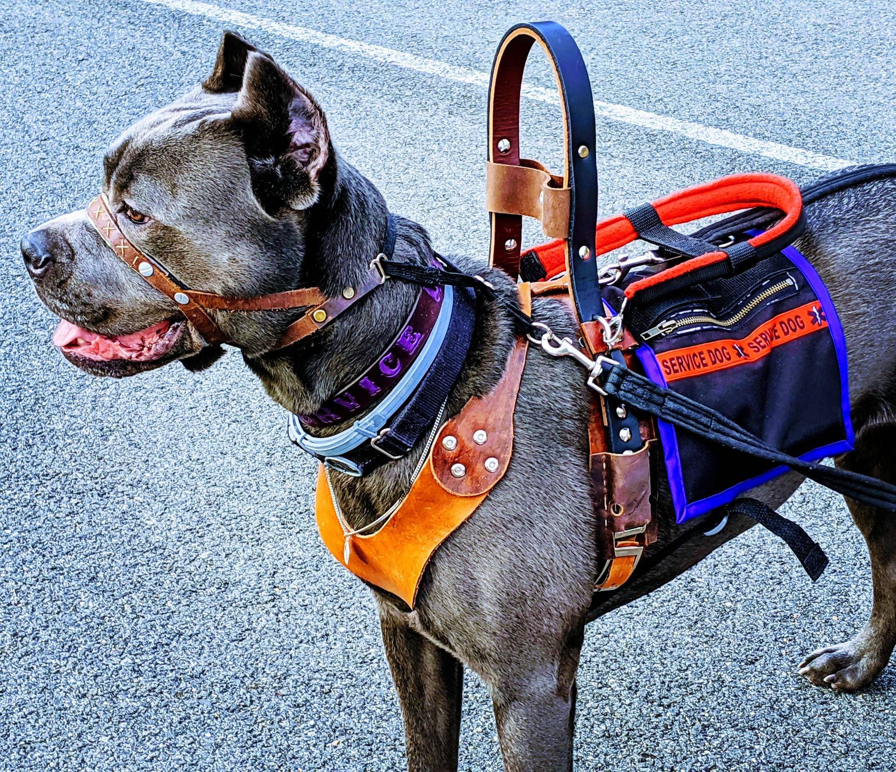 Mobility Service Dog Harness Counterbalance Handle Included Etsy UK