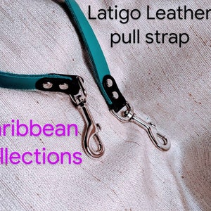 Etsy yup collars online