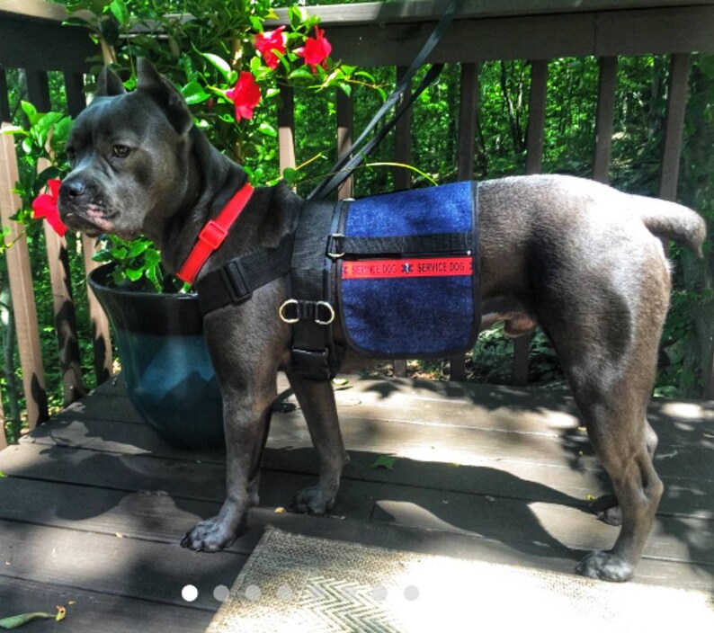 Dog Backpack removable saddlebags Etsy