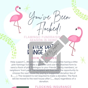 Flamingo Fundraiser | You&#39;ve Been Flocked | EDITABLE TEMPLATE | Fundraiser | PTA | School Fundraiser