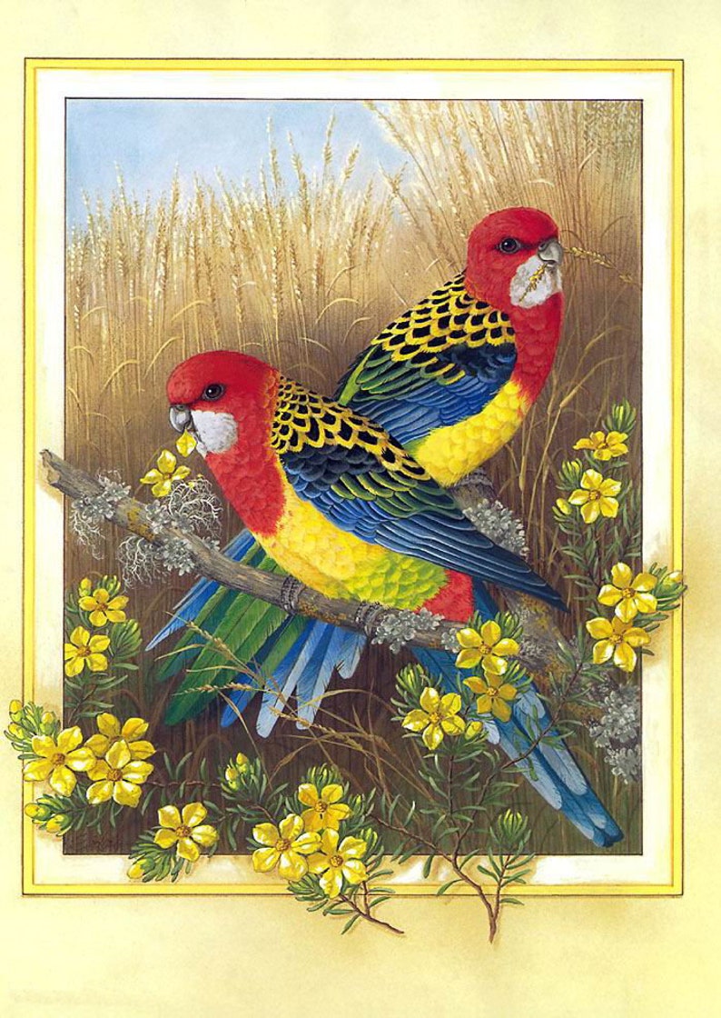 Instant Download embroidery designs art Cross stitch pattern of the Australian parrot Rosella cross stitch pattern pdf Cross Stitch pdf