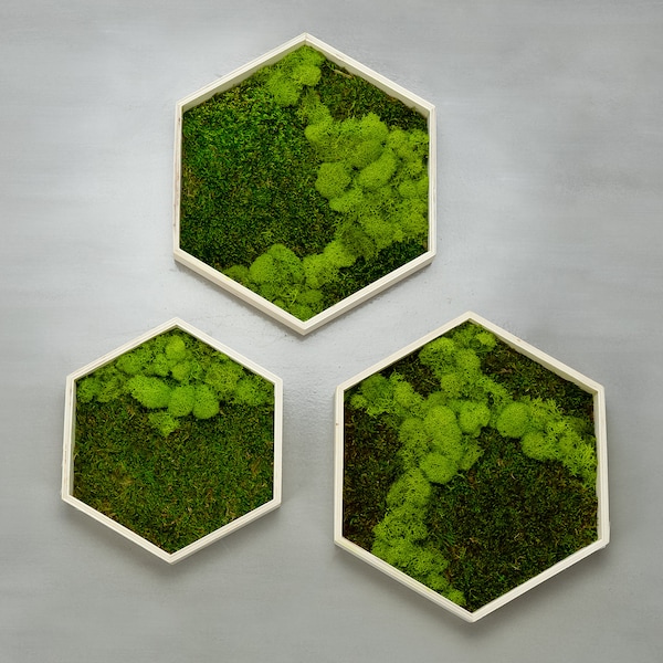 Moss Wall Green Wall Art Preserved Moss Plant Wall Garden Wall Art Moss Wall Art Honeycom Hexagon Home Office Decor Sustainable Unique Gift