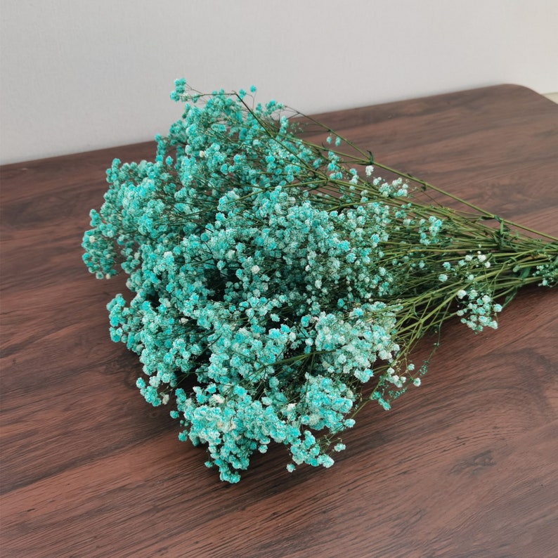 Bulk Natural Preserved Baby's Breath Gypsophila Etsy