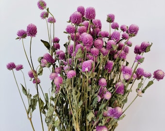 Un bouquet de fleurs séchées Phalaris rouges, décoration maison, bouquet rouge, composition florale, décoration