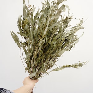 Natural dry green fine leaved eucalyptus branches, sage green, wedding flower arrangement, interior decoration, DIY flower arrangement