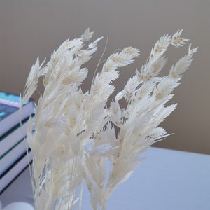 Natural Bleach DIY Bouquet Home Decor Boho Interior Floral Design Home Wedding Decor