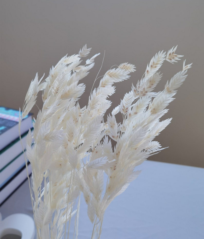 Puede incluir: Primer plano de un ramo de hierba ornamental seca, de color blanquecino. Las plumas plumosas tienen una textura delicada y est&aacute;n dispuestas en una composici&oacute;n natural y fluida. El fondo es de un color suave y neutro.