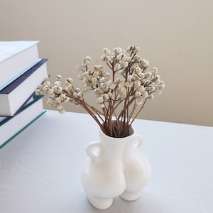 20 Stems Dried Natural Tallow Berries/6&#39;&#39;-10&#39;&#39; L/Dried Tallow Berry