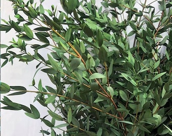 Eucalyptus préservé, centre de table de mariage naturel design d'intérieur