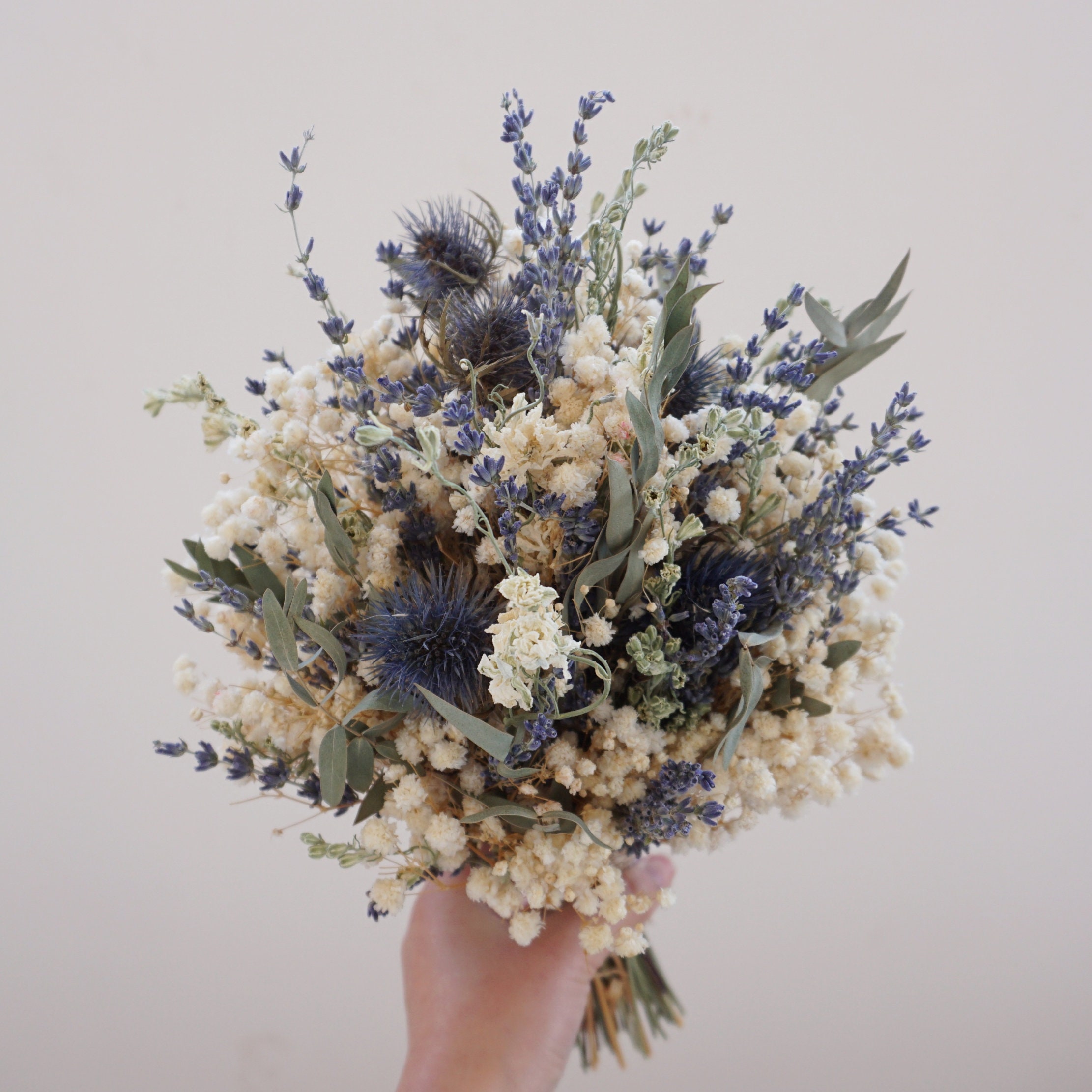 thumbnail interactive-video image 1 of 40 Pcs Natural Blue Dried Thistle Flowers - 17 Inch Craspedia Billy Balls For Boho Home Decor & Wedding Arrangements 1 of 6