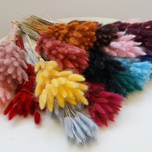 Puede incluir: Un conjunto de hierba de cola de conejo seca y teñida en varios colores, incluyendo rosa, amarillo, rojo y azul. La hierba suave y texturizada está dispuesta en pequeños ramos, ideal para arreglos florales o decoración del hogar.