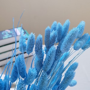 Blue Dried Phalaris Grass, Dried Flowers, Wedding Flowers, Natural Real Flowers, DIY Flower Crafts