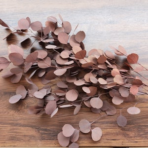 Flor conservada de eucalipto naranja, boda en casa, evento, ramo de bricolaje, novia, decoración de oficina en casa