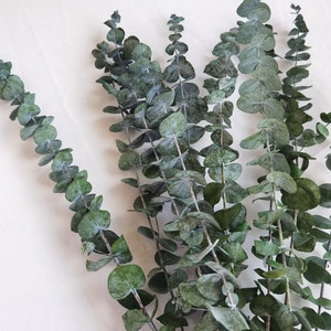 Branches d'eucalyptus stabilisées, composition florale à faire soi-même, décoration d'anniversaire de mariage de famille image 2