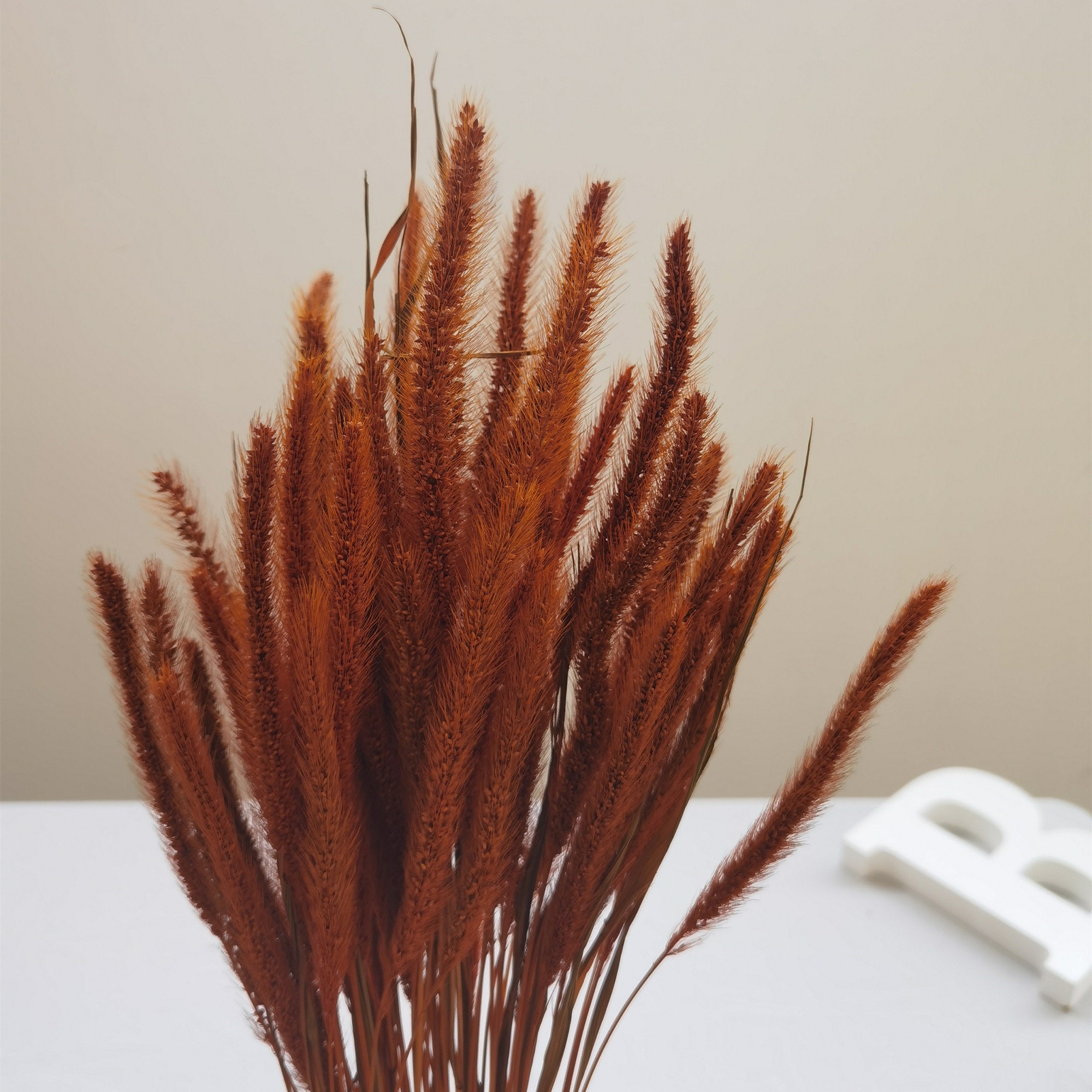 Flower Element, DIY Bouquet Rust, Terracotta ,seteria Bundle,dried ...