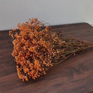 Bulk Natural Preserved Baby&#39;s Breath Gypsophila DIY flower element, floral design, wedding home decoration