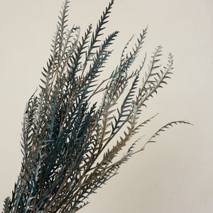 Preserved Flowers Saber Tooth Leaf Flower, natural sawtooth, bouquet DIY, wedding home is decorated