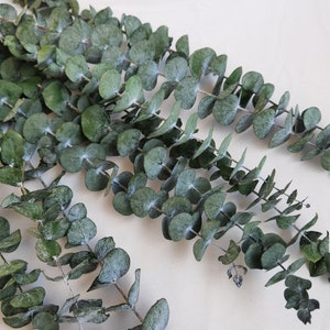 Branches d'eucalyptus stabilisées, composition florale à faire soi-même, décoration d'anniversaire de mariage de famille green