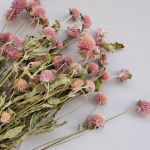 Pale Pink Dried Flower Bouquet 