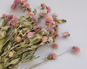 Natural pink dried flowers, home decor flower arrangement decoration, dried flower bouquet