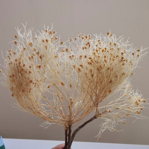 Geconserveerde droogbloemen | Droge baby&#39;s adem-bloemboeket | Bloemen Element DIY Krans Thuis Bruiloft Decor droogbloemenboeket