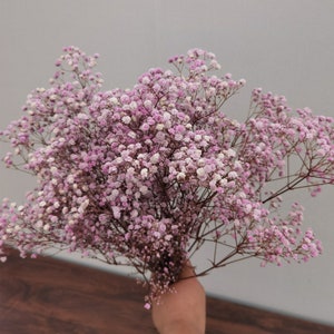 Bulk Natural Preserved Baby's Breath Gypsophila DIY flower element, floral design, wedding home decoration