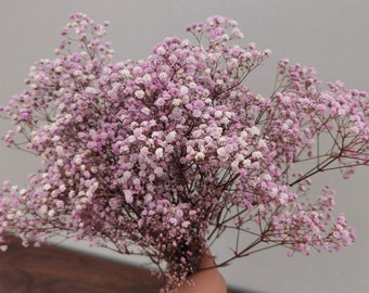 Élément de fleur de bricolage de gypsophile de gypsophile préservée naturelle en vrac, conception florale, décoration de maison de mariage