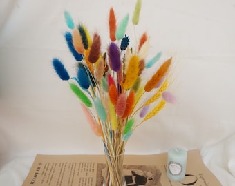 55 stems deep mixed color natural rabbit tail | mini rabbit tail beam | | white rabbit tail dried flower bouquet