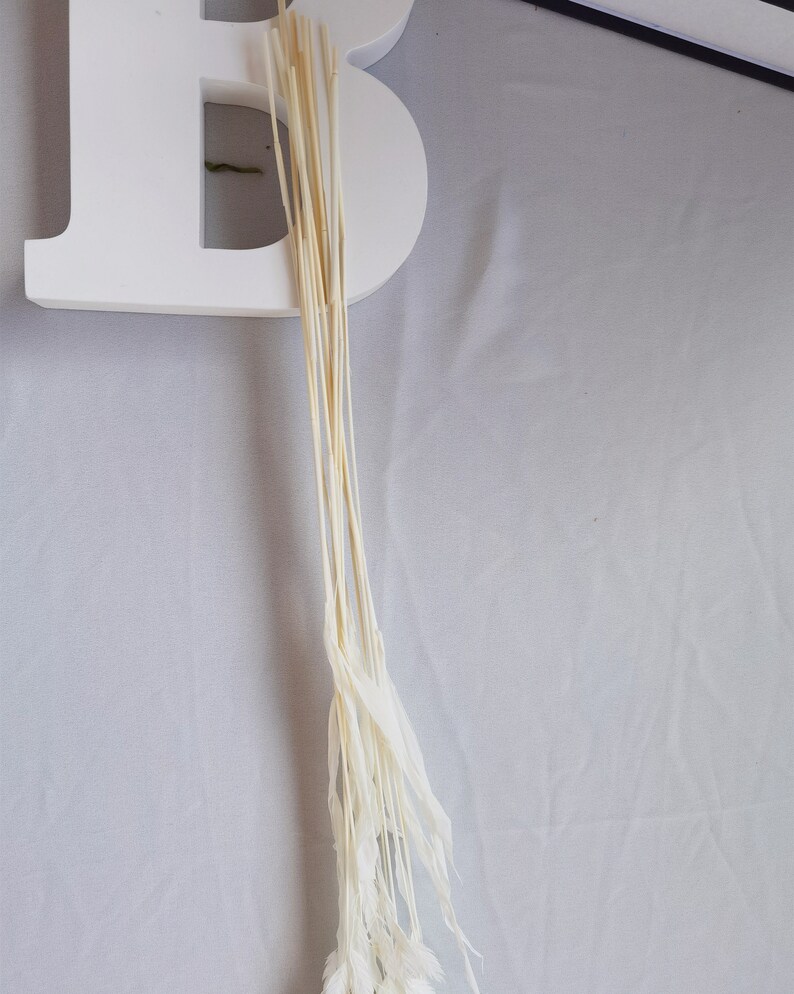 Puede incluir: Una letra "B" de madera blanca con un manojo de tallos secos de color crema y plumas. Los tallos son largos y delgados, con las plumas en la parte inferior. El fondo es una tela gris claro.