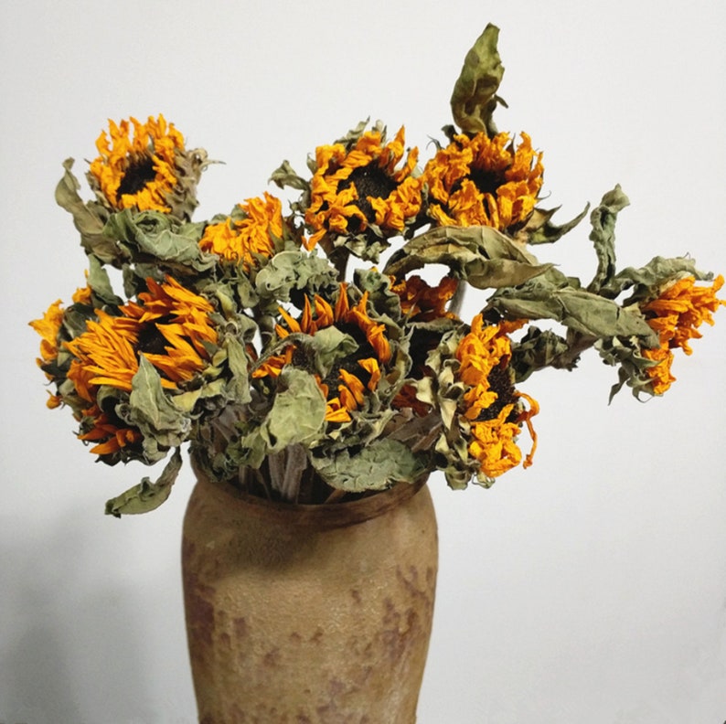 Dried Sunflowers Dried Sunflower Sunflower Dried Sunflower Etsy