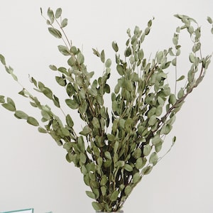 Natural dry eucalyptus twigs, sage green, wedding flower arrangement, interior decoration, DIY flower arrangement