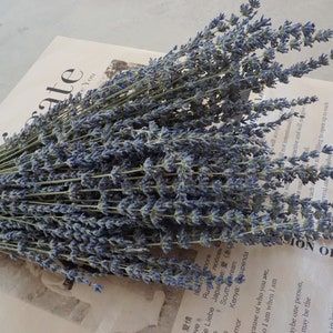 High Quality Dried Flowers Lavender/Wedding Decor/Home Decor