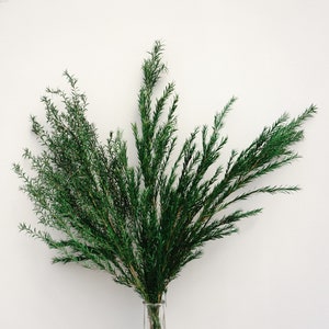 A bundle of pine Boughs-organic Fir door Swag Evergreen Tips Branches Christmas holiday supplies real pine wreath