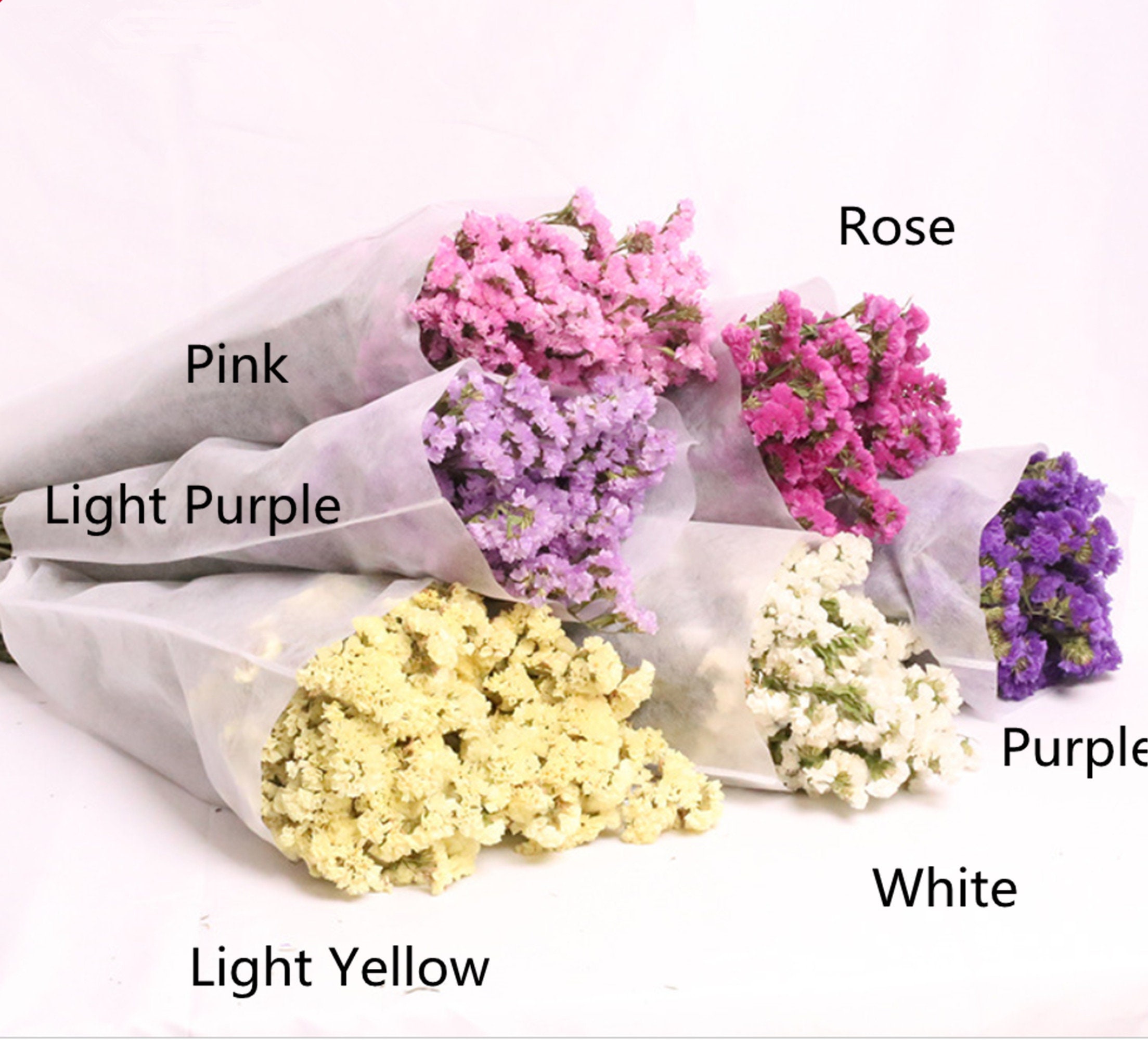 Flores secas prensadas, más de 170 piezas de flores secas mixtas para  resina, rellenos de resina floral seca natural a granel, accesorios de