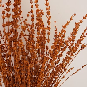 Burnt orange lavender, lavender dried flowers, lavender bouquet, wedding home decoration