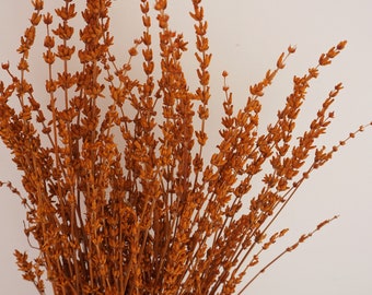 Burnt orange lavender, lavender dried flowers, lavender bouquet, wedding home decoration