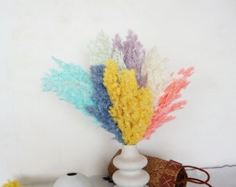 High quality immortal pine branches, family party decoration, immortal bouquet, DIY flower arrangement, wedding decoration