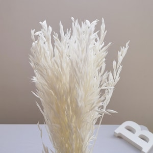 Natuurlijk gebleekte haver, familiehuwelijk bloemstukdecoratie, doe-het-zelf boeket droge bloemelementen, bloemontwerper