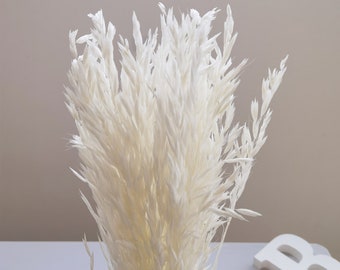 Natural bleached oats, family wedding flower arrangement decoration, DIY dry flower element bouquet, flower designer