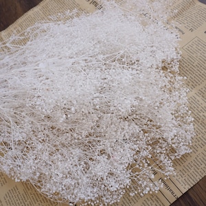 White+Orange dried baby&#39;s breath, Preserved baby&#39;s breath, natural dried gypsophilia