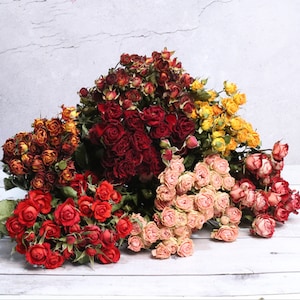 30 Strohblumen, Konservierte Blumen, Weiß, Creme, Rosa, Rot, Gelb, Lila, getrocknete Blumen, Bunt, Wildblumen, hell, Floral-PZ04