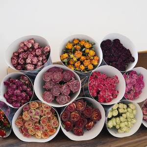 Op de afbeelding: Een assortiment gedroogde rozenboeketten in diverse kleuren, waaronder rood, roze, geel en bordeaux. Elk boeket is verpakt in een witte papieren kegel, gerangschikt op een houten oppervlak. Geschikt voor interieurdecoratie en knutselprojecten.
