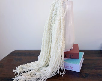 Bleached White Dried Amaranthus | Hanging Preserved Flowers
