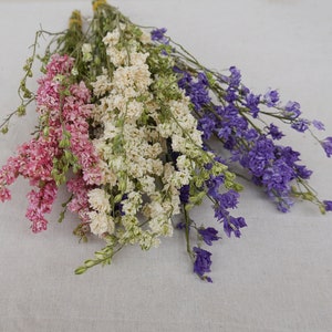 Natural dried pink purple pansy flowers, home wedding flower arrangement decoration, DIY dried flower element bouquet, floral designer