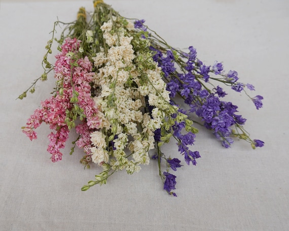 Natural dried pink purple pansy flowers, home wedding flower arrangement decoration, DIY dried flower element bouquet, floral designer