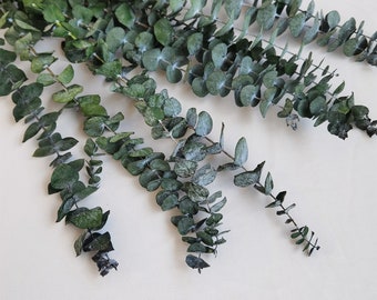 Preserved eucalyptus branches, DIY flower arrangement, family wedding anniversary decoration