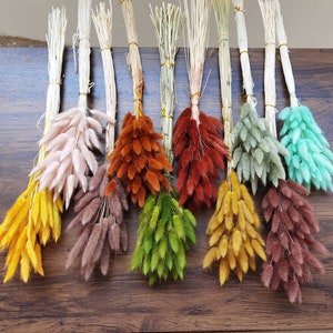 50-60 pcs Dried Natural Lagurus Ovatus Bunches, Hare&#39;s Tail Grass,50cm Length for Floral Decor-PZ13a