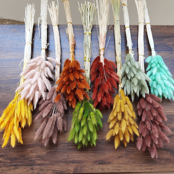 50-60 pcs Dried Natural Lagurus Ovatus Bunches, Hare's Tail Grass,50cm Length for Floral Decor-PZ13a