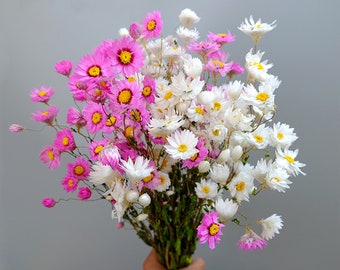 Dried chrysanthemums, dried flower arrangement, floral materials, home decoration