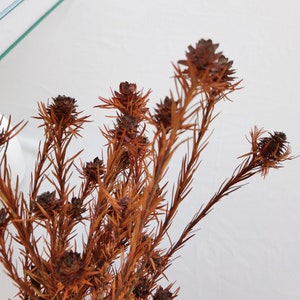 Pommes de pin orange, fleurs stabilisées, mariage, événement, bouquet de fleurs séchées à faire soi-même, mariée, décoration de bureau à domicile